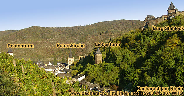 View from the vineyards above vom Steeg Valley (Steeger Tal) near Bacharach on the Rhine River