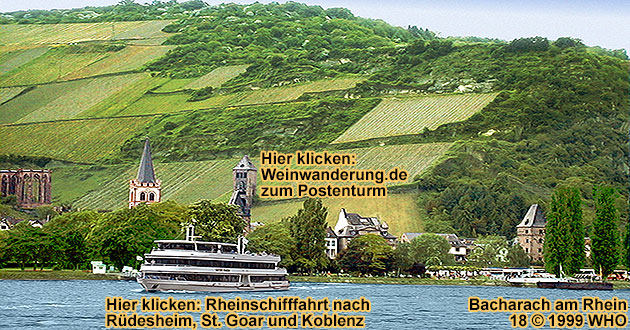 rhine river cruise from bacharach